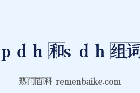 pdh和sdh组词是什么意思的图片